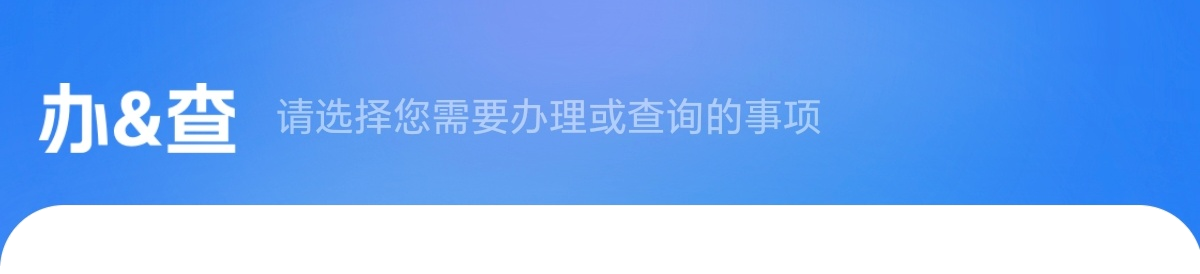 办&查